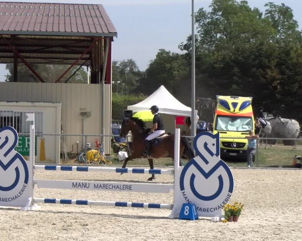 Reitturnier Dompierre 2023