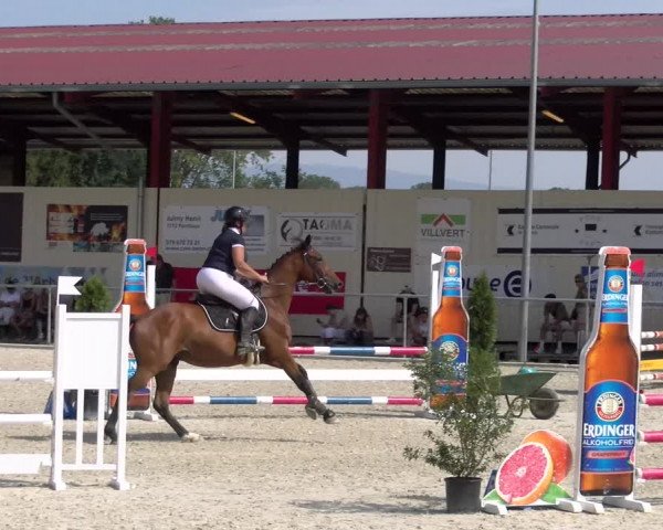 Reitturnier Dompierre 2023