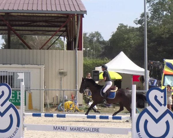 Reitturnier Dompierre 2023