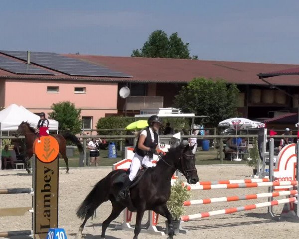 Reitturnier Dompierre 2023
