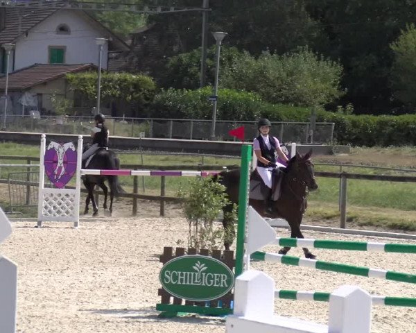 Reitturnier Dompierre 2023