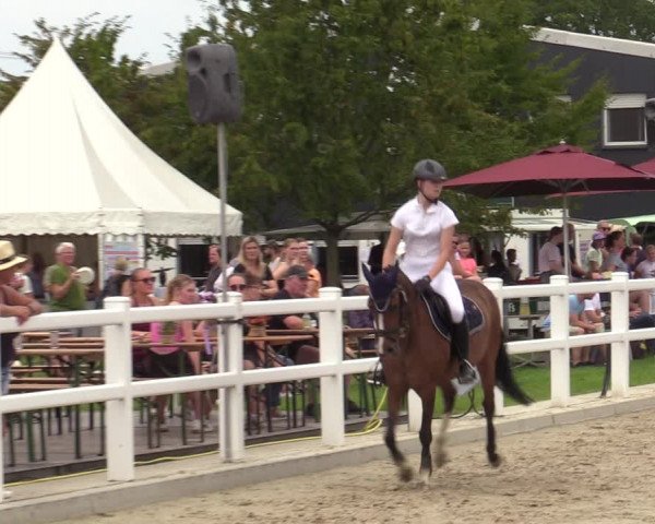 Reitturnier Dortmund-Asseln 2023