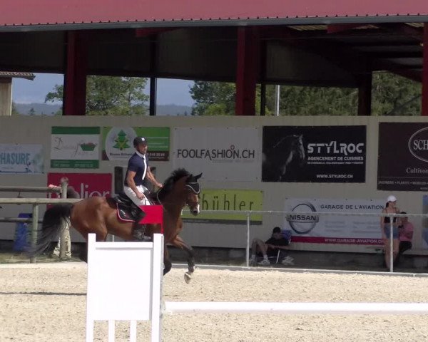 Reitturnier Dompierre 2023