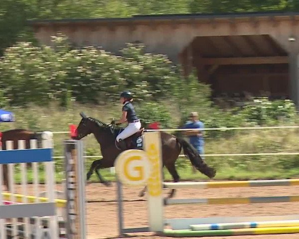 Reitturnier Demantsfürth/Mfr. 2023