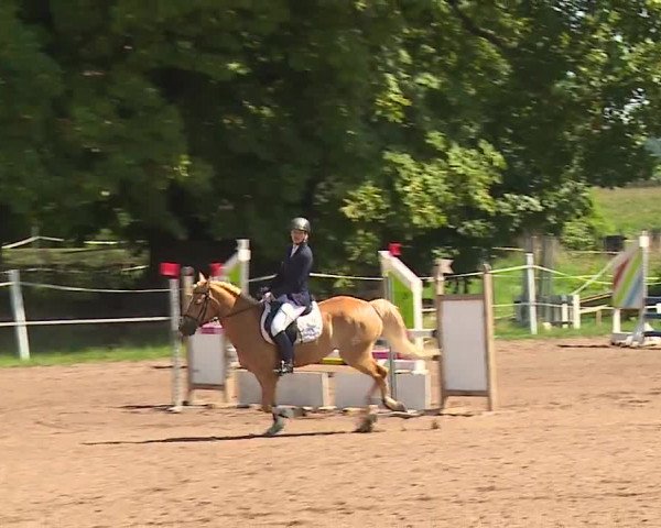 Reitturnier Demantsfürth/Mfr. 2023