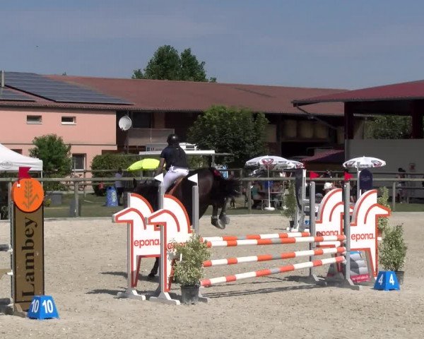 Reitturnier Dompierre 2023