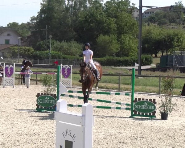 Reitturnier Dompierre 2023