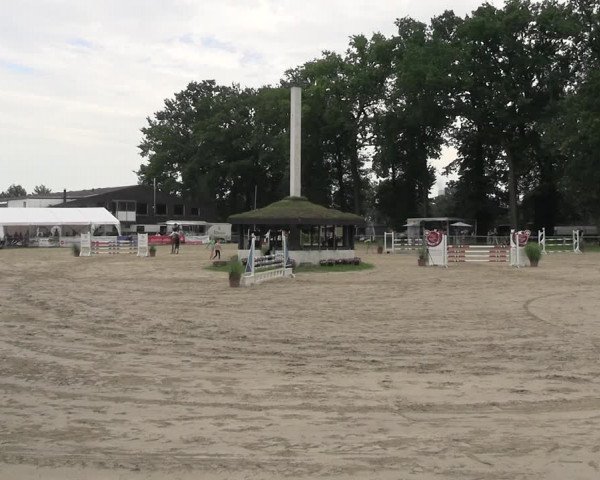 Reitturnier Datteln 2023