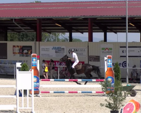 Reitturnier Dompierre 2023