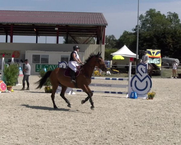 Reitturnier Dompierre 2023
