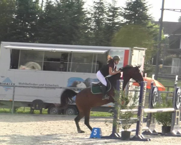 Reitturnier Dompierre 2023