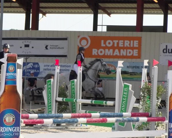Reitturnier Dompierre 2023