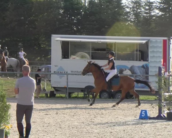 Reitturnier Dompierre 2023