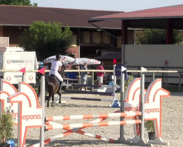 Reitturnier Dompierre 2023