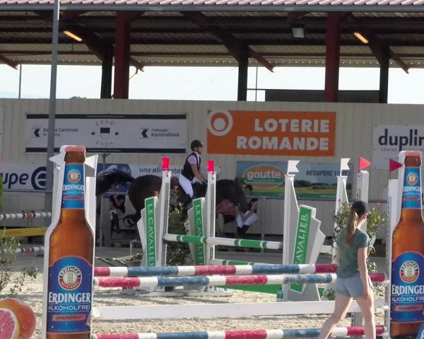 Reitturnier Dompierre 2023