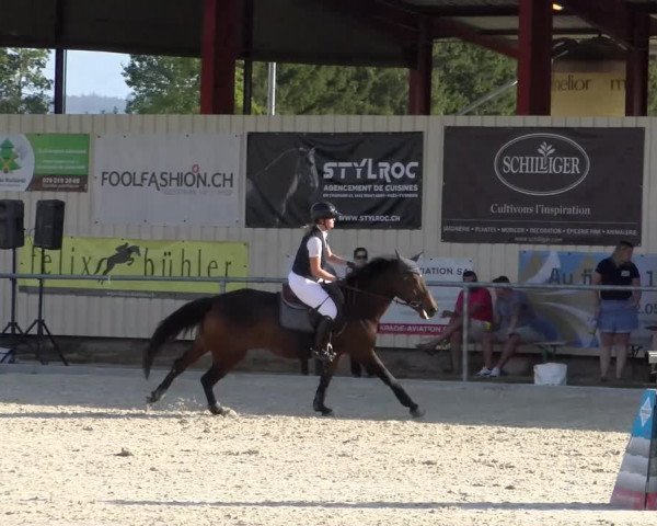 Reitturnier Dompierre 2023