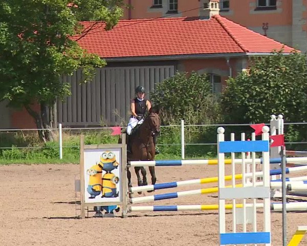 Reitturnier Demantsfürth/Mfr. 2023