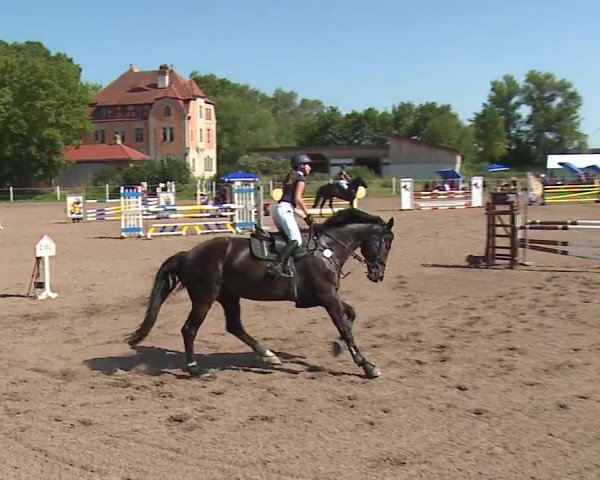 Reitturnier Demantsfürth/Mfr. 2023