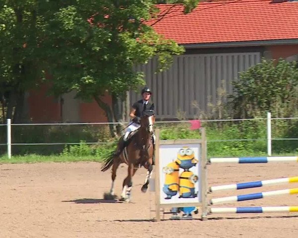 Reitturnier Demantsfürth/Mfr. 2023
