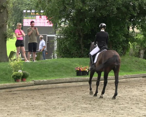 Reitturnier Datteln 2023