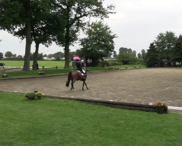 Reitturnier Datteln 2023