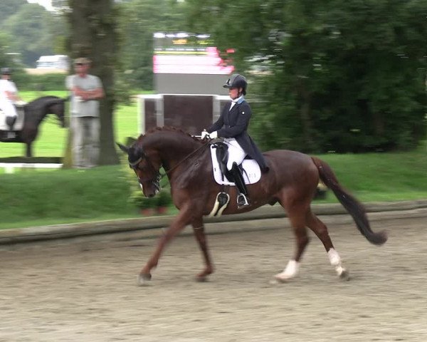 Reitturnier Datteln 2023
