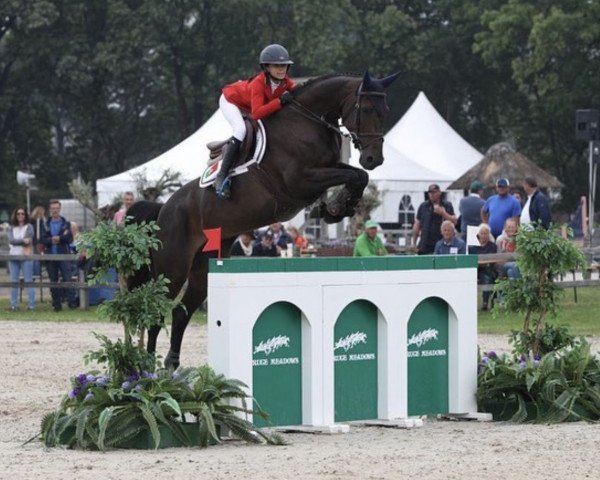 jumper Calamity Jane Rumel (Selle Français, 2012, from Telstar de la Pomme)
