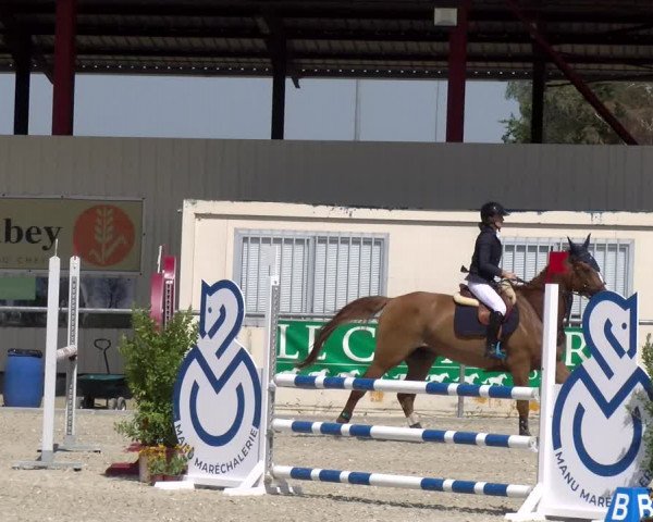 Reitturnier Dompierre 2023