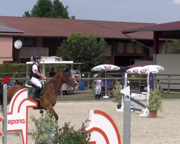 Reitturnier Dompierre 2023