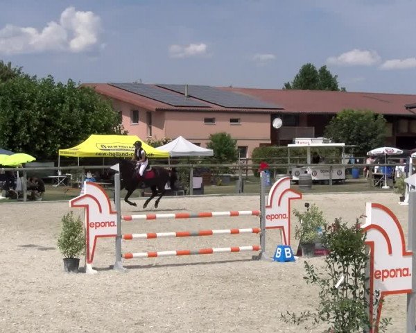 Reitturnier Dompierre 2023