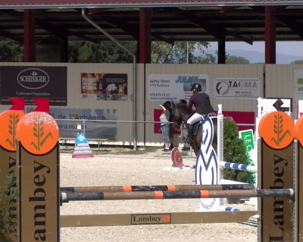 Reitturnier Dompierre 2023