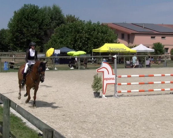 Reitturnier Dompierre 2023