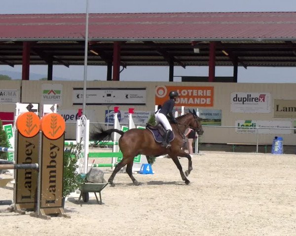 Reitturnier Dompierre 2023