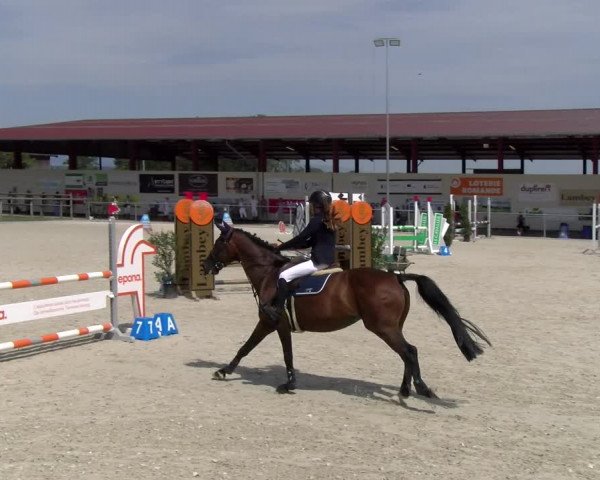 Reitturnier Dompierre 2023