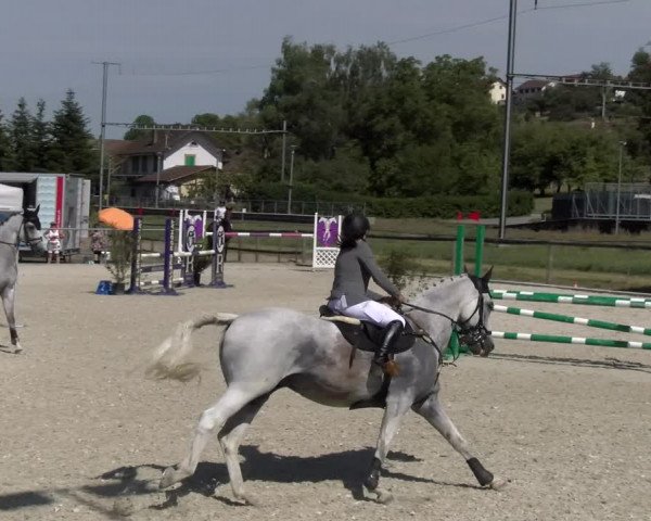 Reitturnier Dompierre 2023