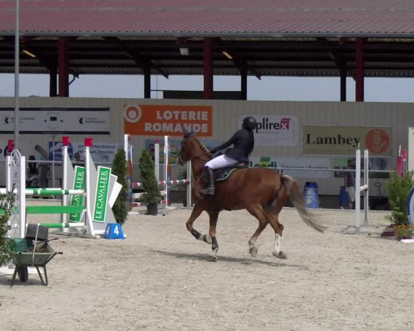 Reitturnier Dompierre 2023
