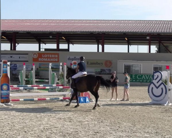 Reitturnier Dompierre 2023