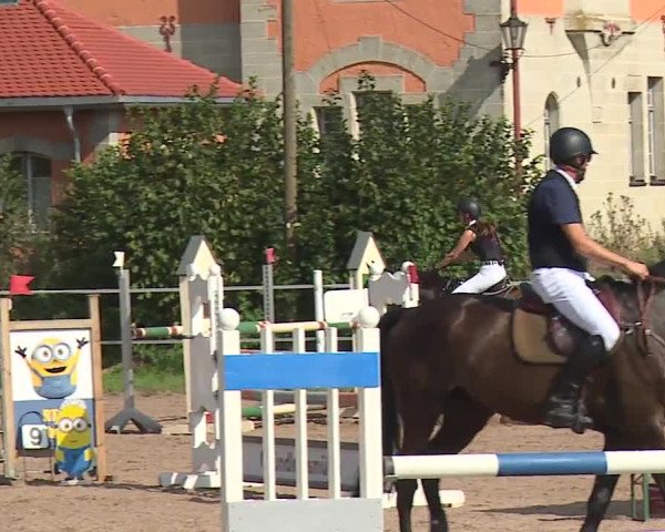 Reitturnier Demantsfürth/Mfr. 2023