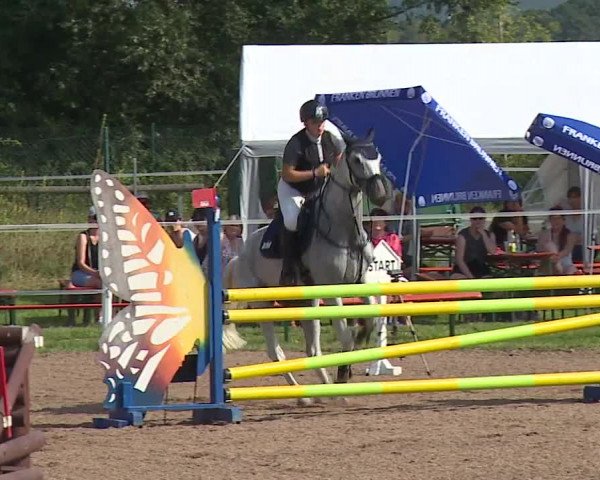 Reitturnier Demantsfürth/Mfr. 2023