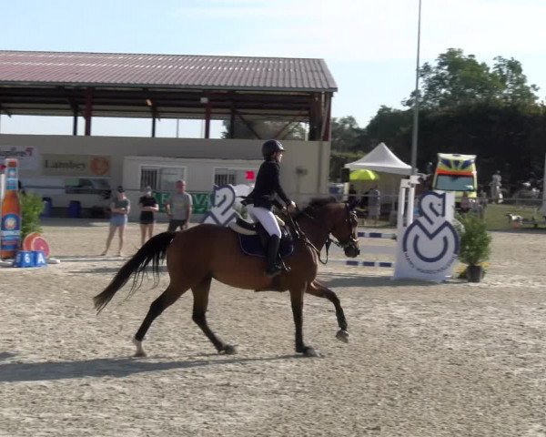 Reitturnier Dompierre 2023