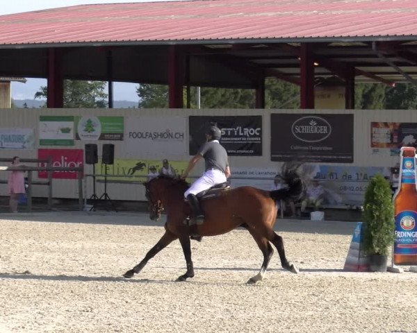 Reitturnier Dompierre 2023