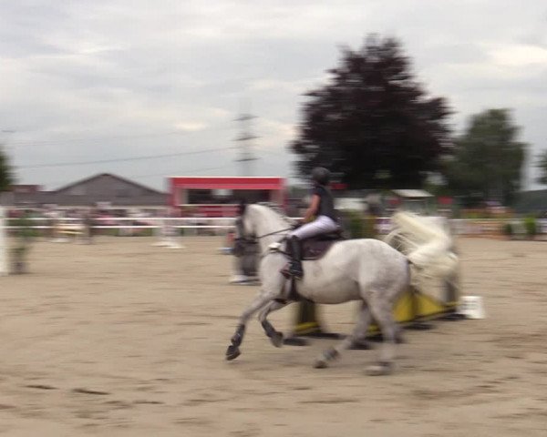 Reitturnier Dortmund-Asseln 2023
