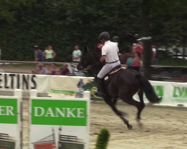 Reitturnier Münster-Albachten 2023