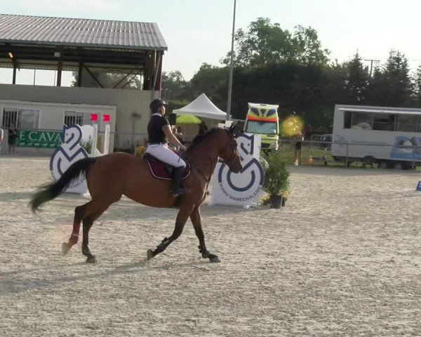 Reitturnier Dompierre 2023