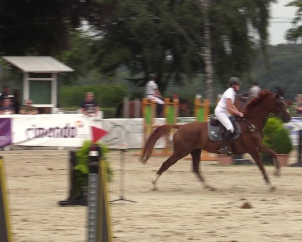 Reitturnier Dortmund-Asseln 2023
