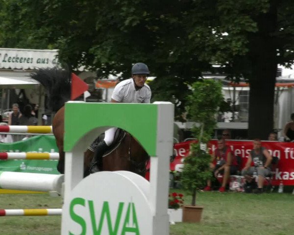Reitturnier Aschersleben 2023