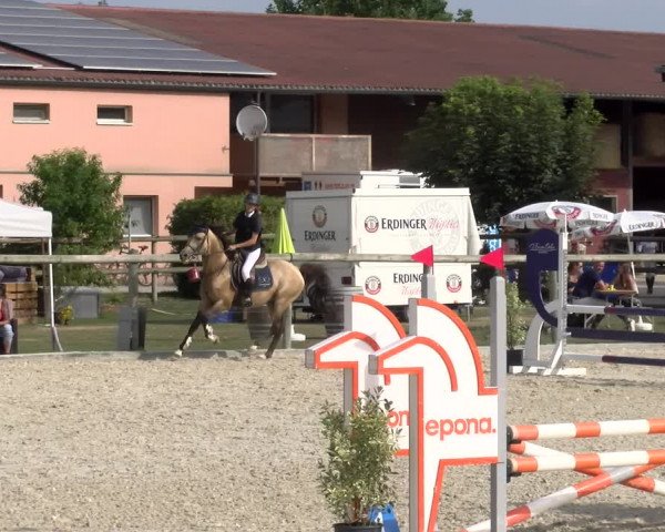 Reitturnier Dompierre 2023