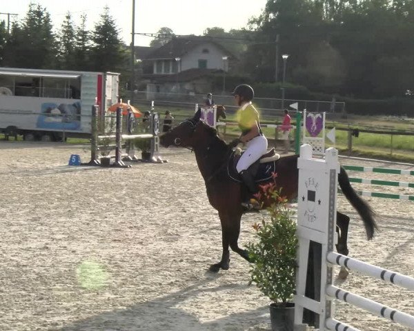 Reitturnier Dompierre 2023