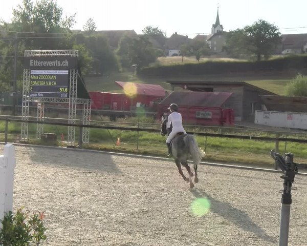 Reitturnier Dompierre 2023