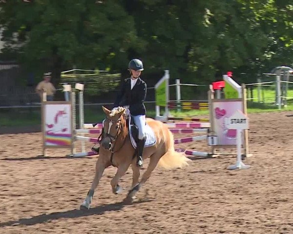 Reitturnier Demantsfürth/Mfr. 2023